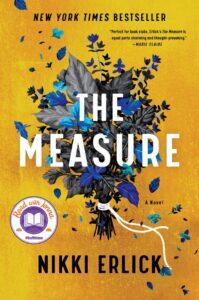 The Measure by Nikki Erlick